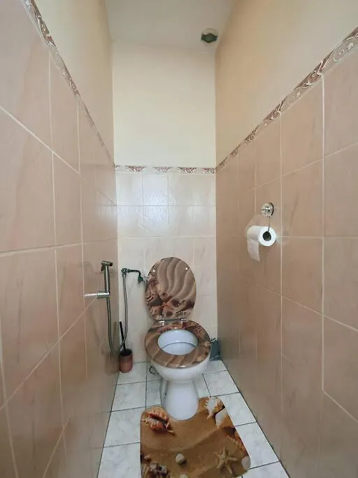 La Plume Argentee Only Women Femmes Uniquement Apartment Venissieux 0*,  France